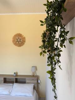 Olive tree villa - 6