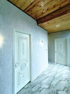 Luxury Villa with Pool in Gabala - 1