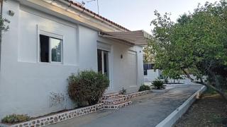 Villa TYPIQUE PEDRALBA - 0