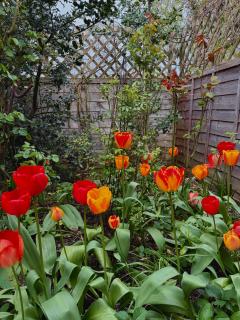 Alice’s Garden @ Bleak House Farm - 7