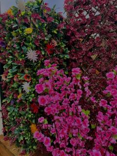 Alices Garden Two - 3