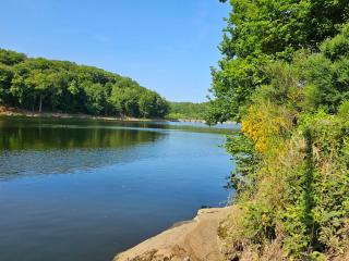 Gîte à la ferme - 1