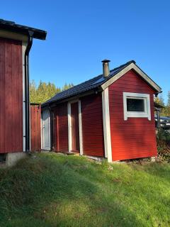Live with nature, your own jetty, boat & sauna! - 6