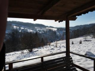 Chata ARAMIS pro hosty, kteří mají rádi přírodu a klid - 0