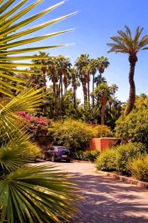 Vue sur le Jardin Majorelle - Balcon Privé, Calme & Élégance - 3