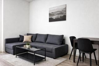 MIILOX Apartments Chemnitz - 7