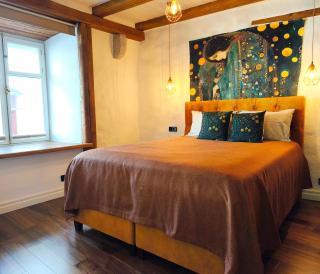 Cozy nest in the old town - Taline - 7
