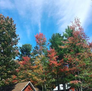 Oak Cabin Step out onto your own private beach - 1