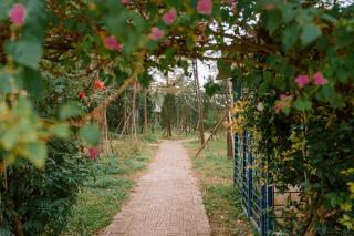 Veco Pine Retreat Villa - 9