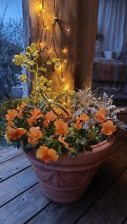 Les Terrasses de la Forêt - 6