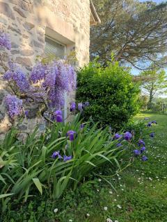 Gîte du Petit Gué - 9