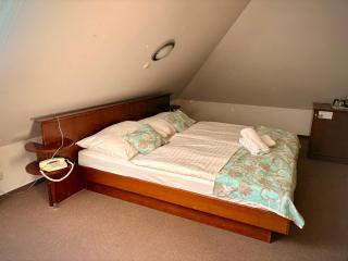 Zámecký Hotel Zlatý Orel - 1