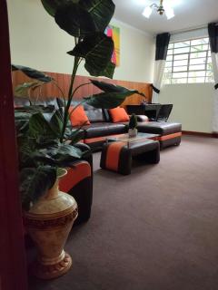 Eliana department - 6