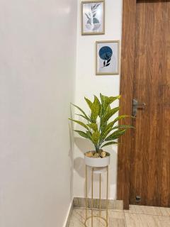 Luxury Palm Stay - 1