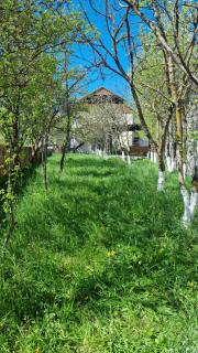 Nazani , villa with 4 bedrooms , дом целиком, designed by KHI - 2