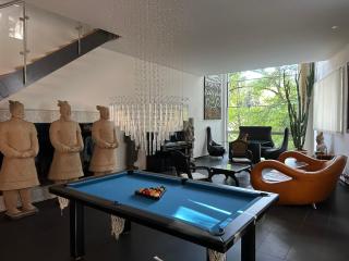 Luxury Duplex with Rooftop, View of Lausanne Cathedral - 8