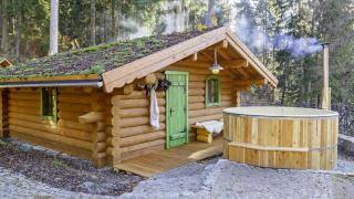 Pensjonat Alpejski Dwór - Miedzygorze - 1