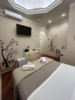 Rent Rooms Saint Peter - 5