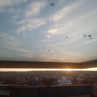 Apartman Skyview - 1