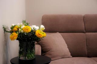 Casa Almika Mascagni - 2