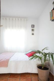 Spacious and bright house next to the beach - 4