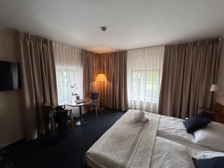 Zámecký Hotel Zlatý Orel - 9