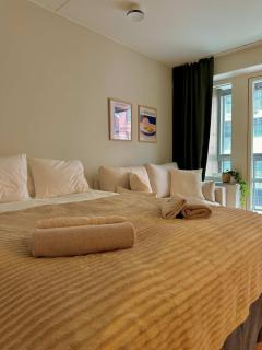 Modern studio with balcony - 8