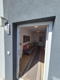 Three Olive Trees - 6