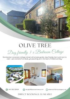 Olive Tree Cottage, Widemouth Bay, Stunning barn conversion, Bude - 0