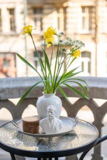 Authenticity and coziness fireplace, balcony, station - 2