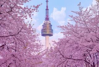 아당가 스테이 - 9