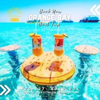 Vibes Tours & Trips - 8