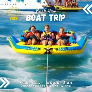 Vibes Tours & Trips - 1