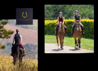 Haras Nashville - Chalé 14 - Coisas do Campo - 6