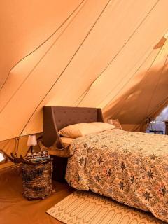 Glamping Tent - 1