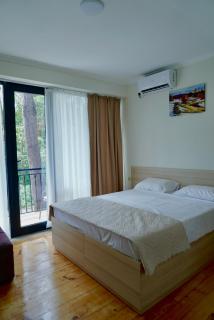 Ferre Hotel Shekvetili - 2