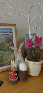 Ciao Fewo Birkenwald 你好白桦林民宿 - 9