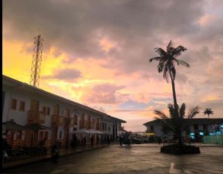 Vista primavera - 0