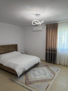 Prestige Lakeview Apartment Tirana - 3