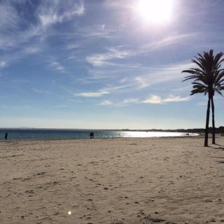 Minerva Beach - Port d'Alcúdia - 4