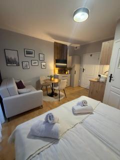 Apartamenty Pod Horodkiem - 1