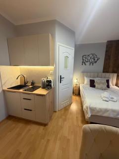 Apartamenty Pod Horodkiem - 2