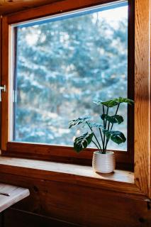 Whispering Springs Wilderness Retreat - 8