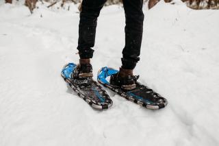 Whispering Springs Wilderness Retreat - 4