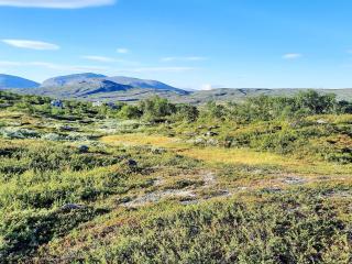 5 star holiday home in Sälen - Sälen - 8