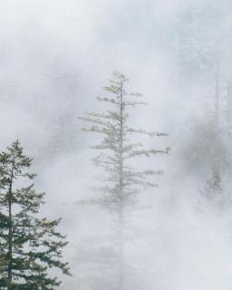 Mount Rainier A Frame w Cedar Hot Tub and Sauna - 8