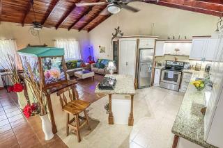 Cozy house in the heart of Puerto Jimenez - 0