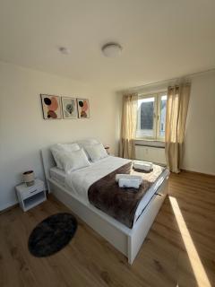 Business & Travel Apartment Gelsenkirchen Nähe Arena - 5