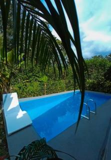 Arenal Views, Pool & 5min to Waterfall & Town - 4