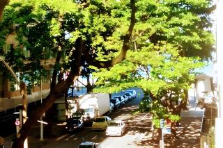 50 Metros da Praia de Copacabana! Entre Ipanema - 6